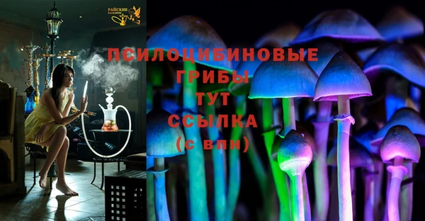 прущие грибы Абдулино