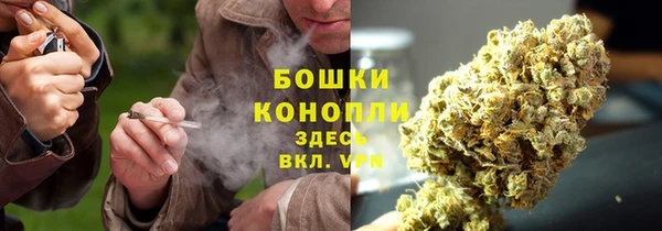 прущие грибы Абдулино