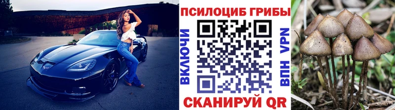 Псилоцибиновые грибы мухоморы KRAKEN зеркало Татарск даркнет сайт