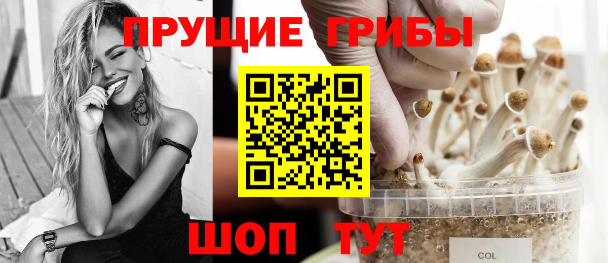 Галлюциногенные грибы ЛСД  Вход с VPN  Татарск  где продают наркотики  Псилоцибиновые грибы Cubensis 